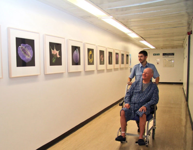 Porter with patient looking at art