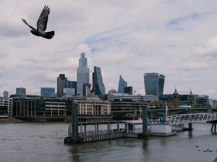 London cityscape, seen from the Thames, a pigeon flies in the sky. Photograph by Taylor Floyd Mews