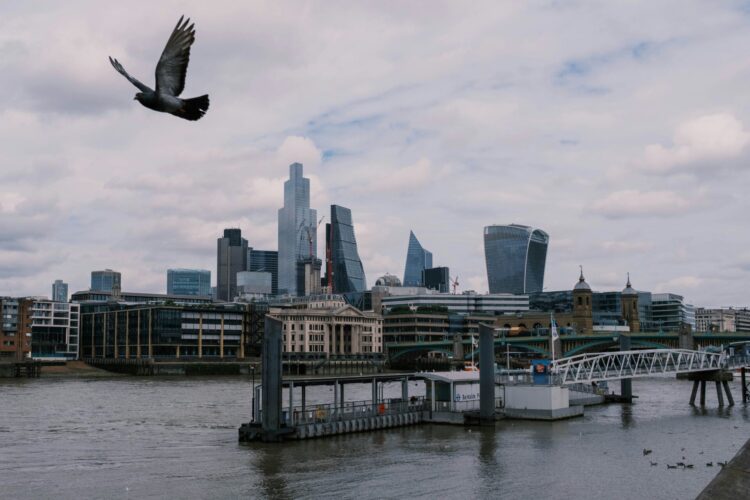 London cityscape, seen from the Thames, a pigeon flies in the sky. Photograph by Taylor Floyd Mews